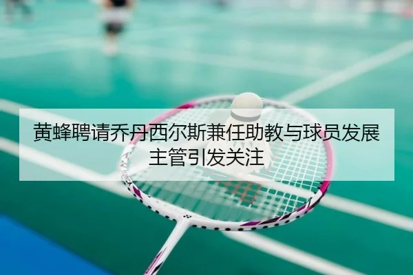 黄蜂聘请乔丹西尔斯兼任助教与球员发展主管引发关注